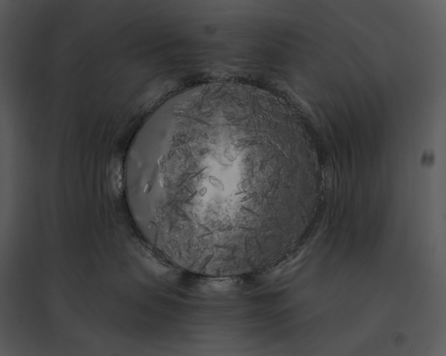 X0000095520479200801041227