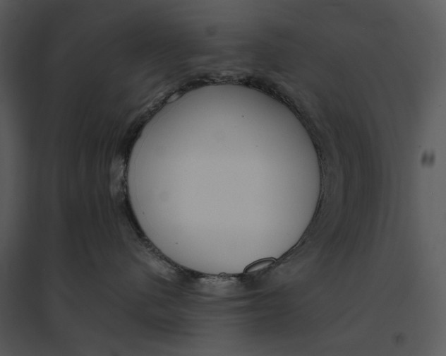 X0000095520480200801041227