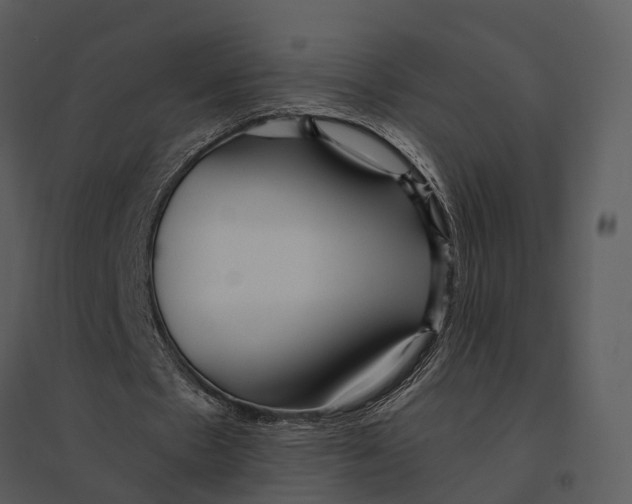 X0000095520481200801041226