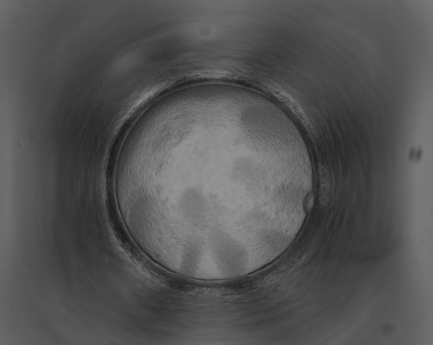 X0000095520482200801041226