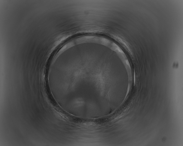 X0000095520483200801041226