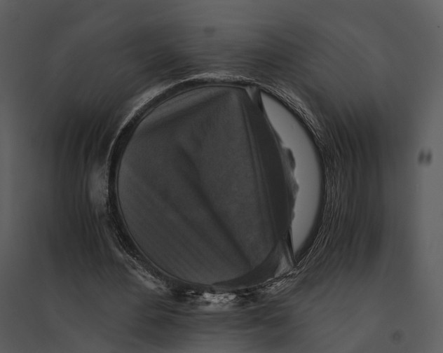 X0000095520484200801041226