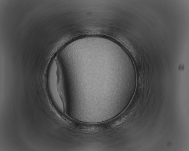 X0000095520485200801041226