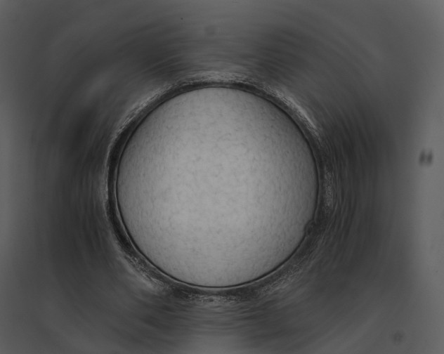 X0000095520486200801041226