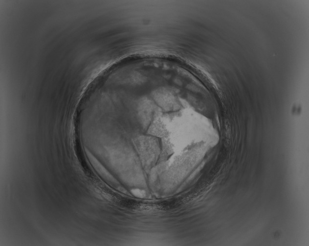 X0000095520487200801041226