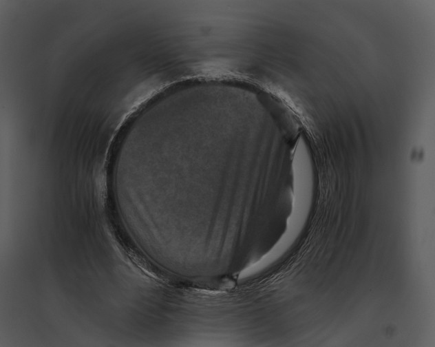 X0000095520488200801041226