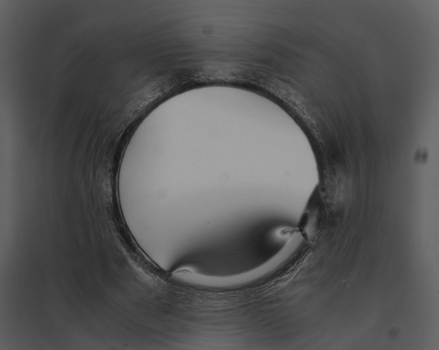 X0000095520489200801041226