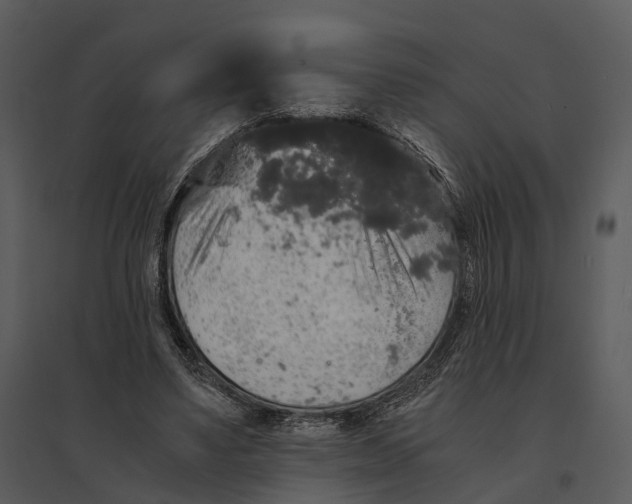 X0000095520491200801041226