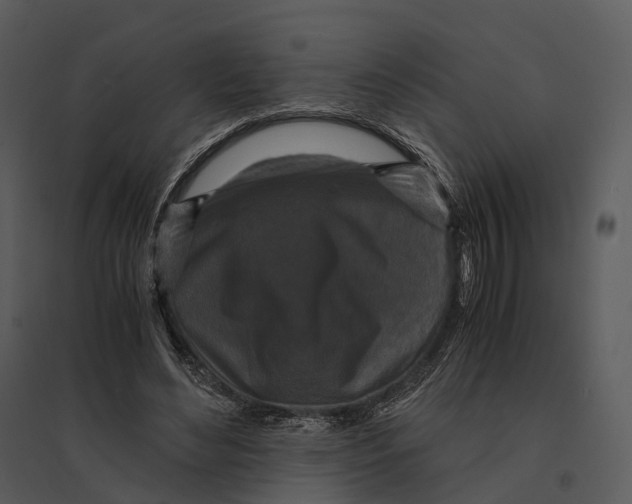 X0000095520492200801041226