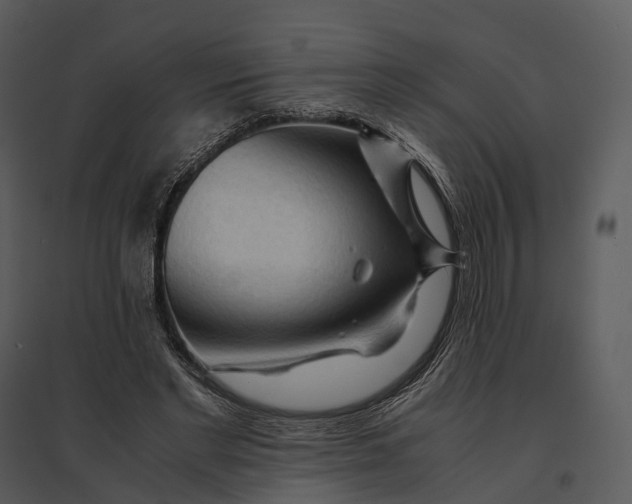 X0000095520493200801041226