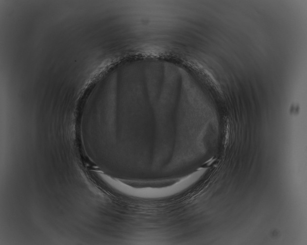 X0000095520496200801041226