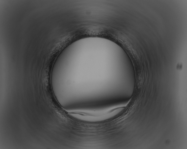 X0000095520497200801041226