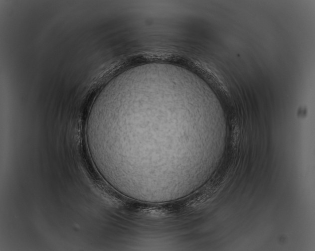 X0000095520498200801041226