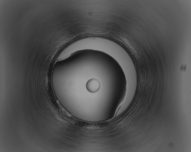 X0000095520500200801041226