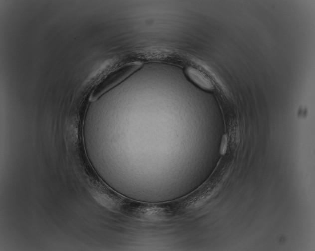 X0000095520501200801041226