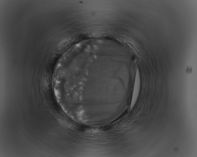 X0000095520503200801041226