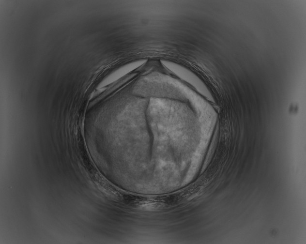 X0000095520504200801041226