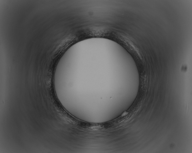 X0000095520505200801041226