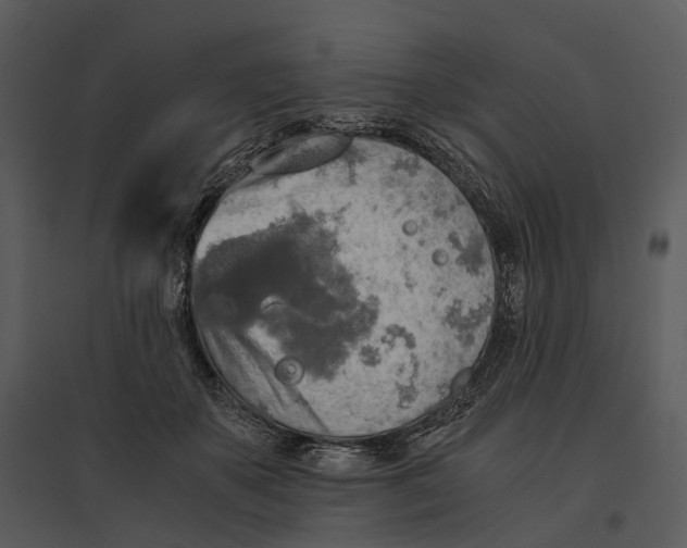 X0000095520507200801041226