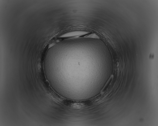 X0000095520508200801041226