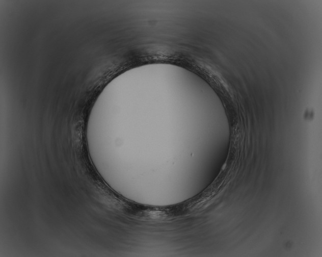 X0000095520509200801041226