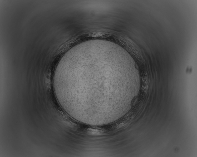 X0000095520510200801041226