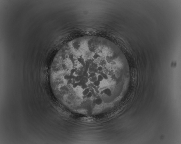 X0000095520511200801041226