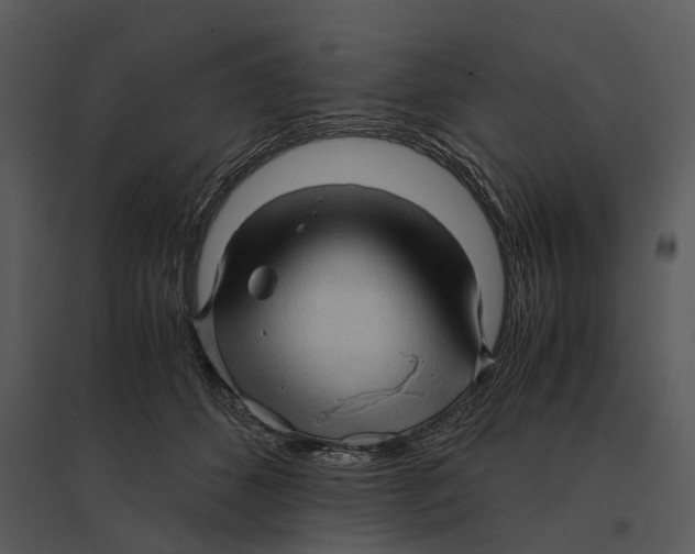 X0000095520512200801041226