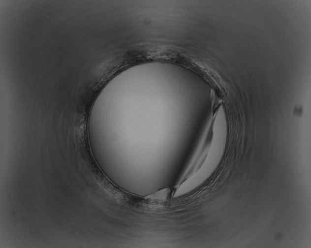 X0000095520513200801041226