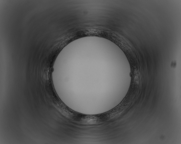 X0000095520514200801041226