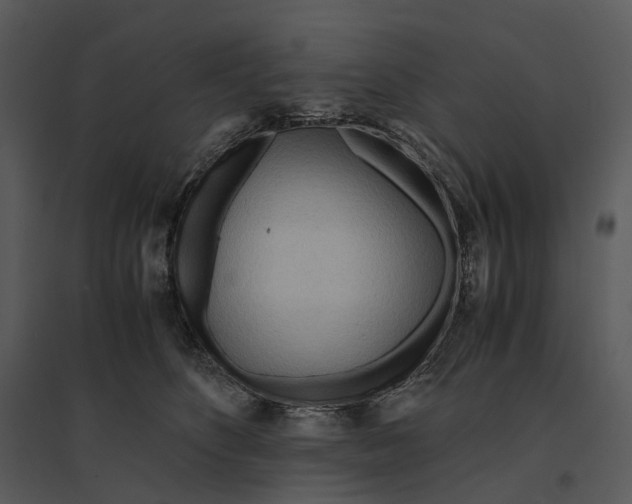 X0000095520516200801041226