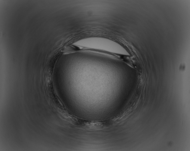 X0000095520517200801041226