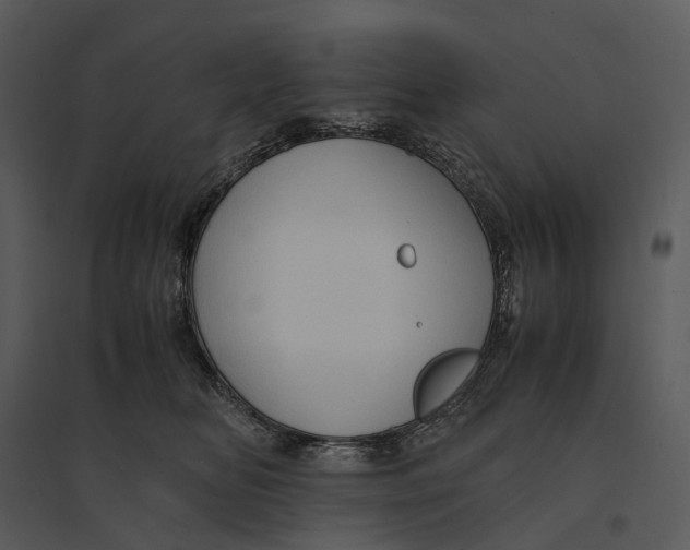 X0000095520518200801041226