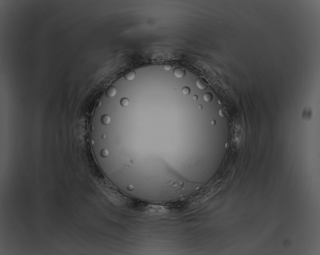 X0000095520519200801041226