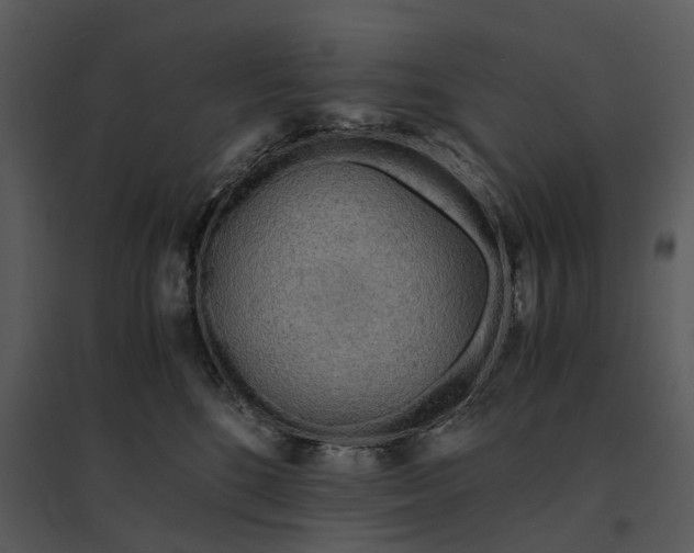 X0000095520520200801041226