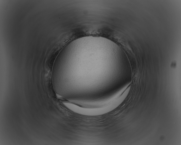 X0000095520521200801041226