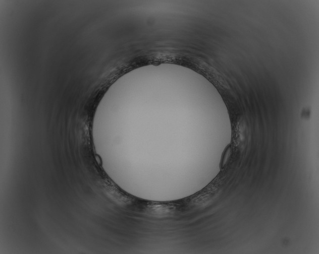 X0000095520522200801041226