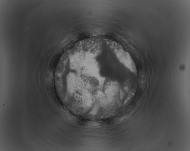 X0000095520523200801041226