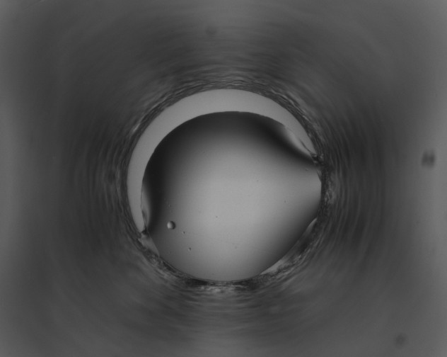 X0000095520524200801041226