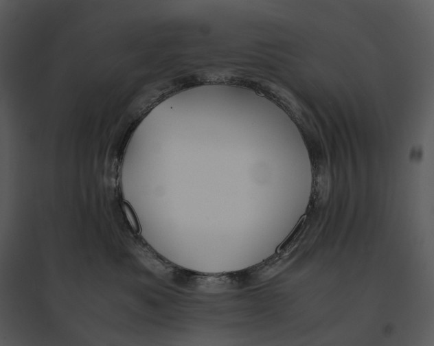 X0000095520525200801041226