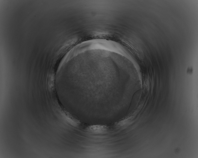 X0000095520526200801041225