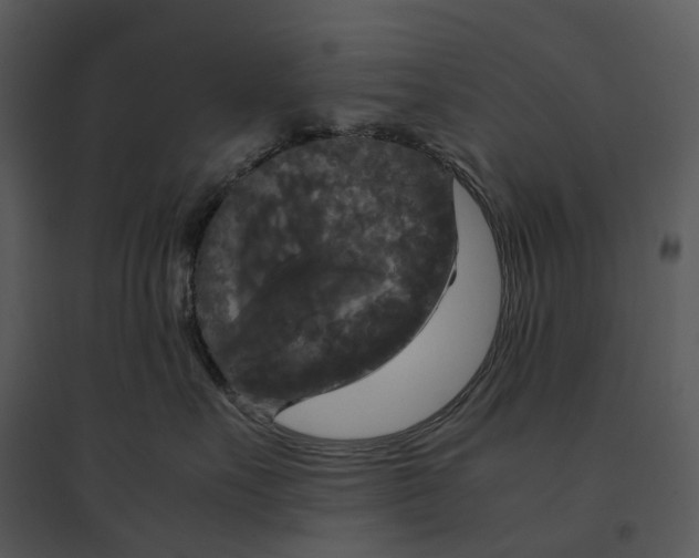 X0000095520527200801041225