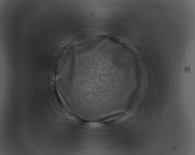 X0000095520528200801041225