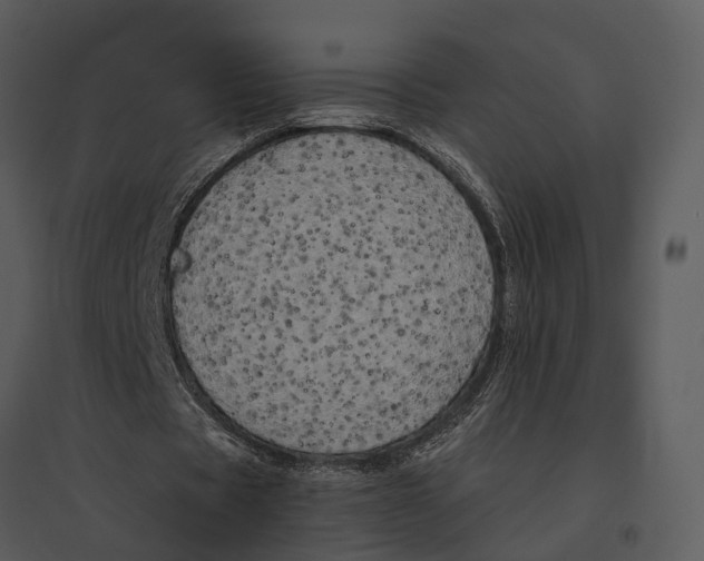 X0000095520529200801041225