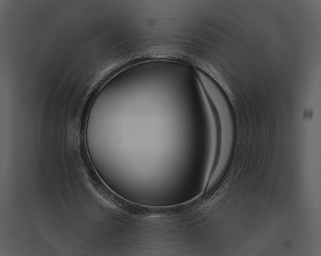 X0000095520530200801041225