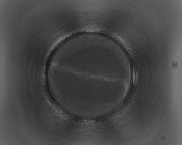 X0000095520531200801041225