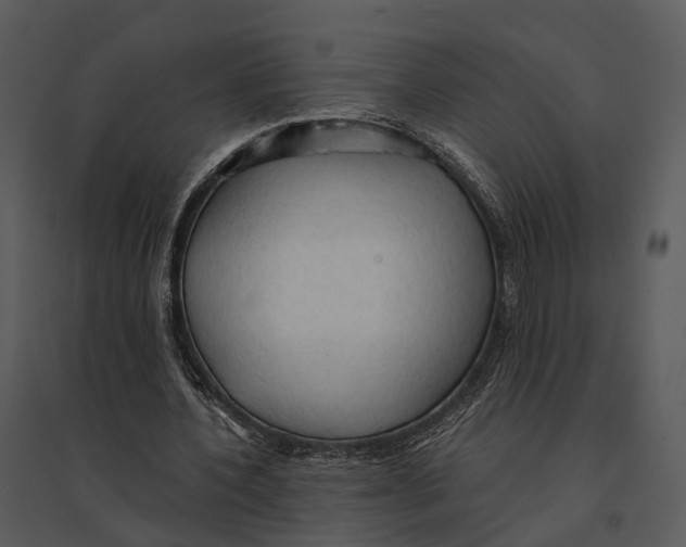 X0000095520532200801041225