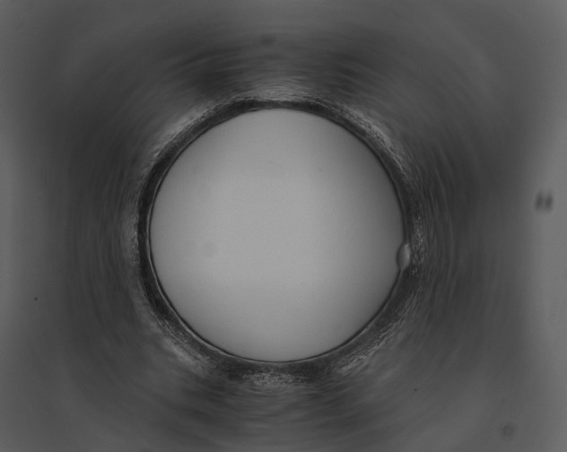 X0000095520535200801041225