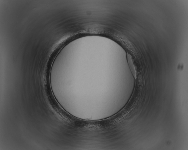 X0000095520536200801041225