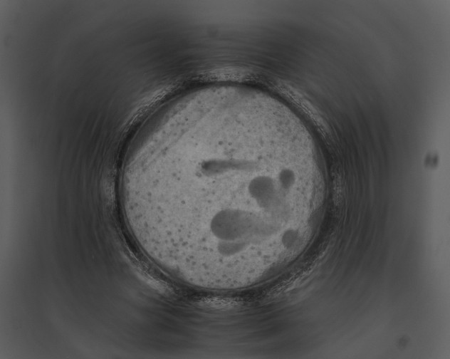 X0000095520537200801041225